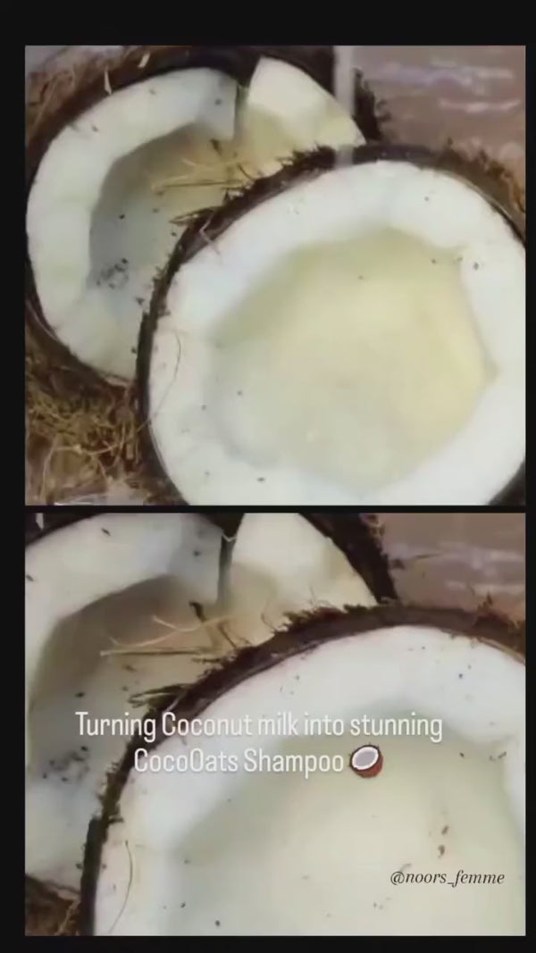 Organic Shampoo