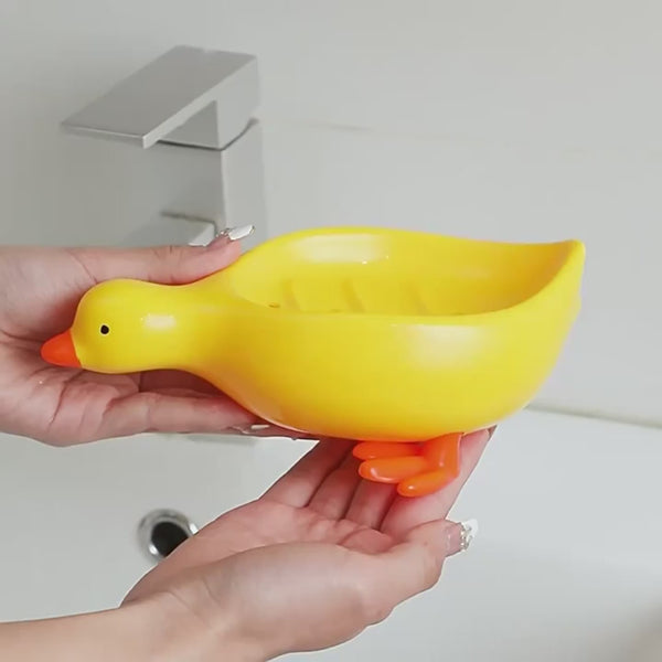 Soap Holder